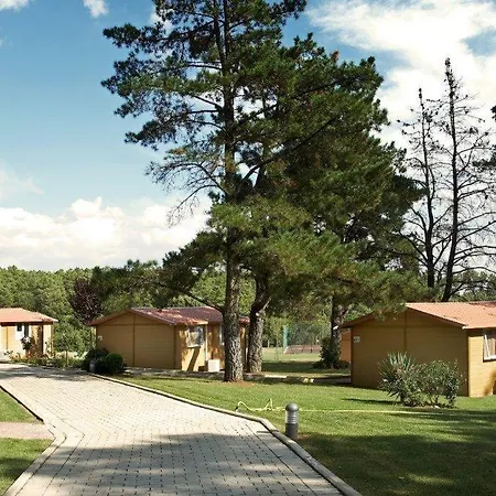 Holiday park I Girasoli Lucignano