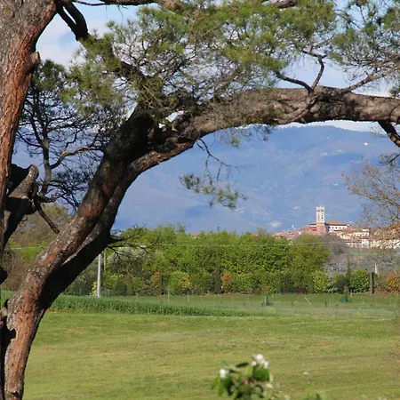 Holiday park I Girasoli 3*