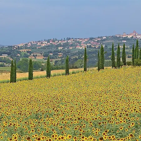 Holiday park I Girasoli 3*