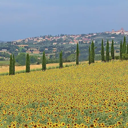 I Girasoli Ferienpark 3*